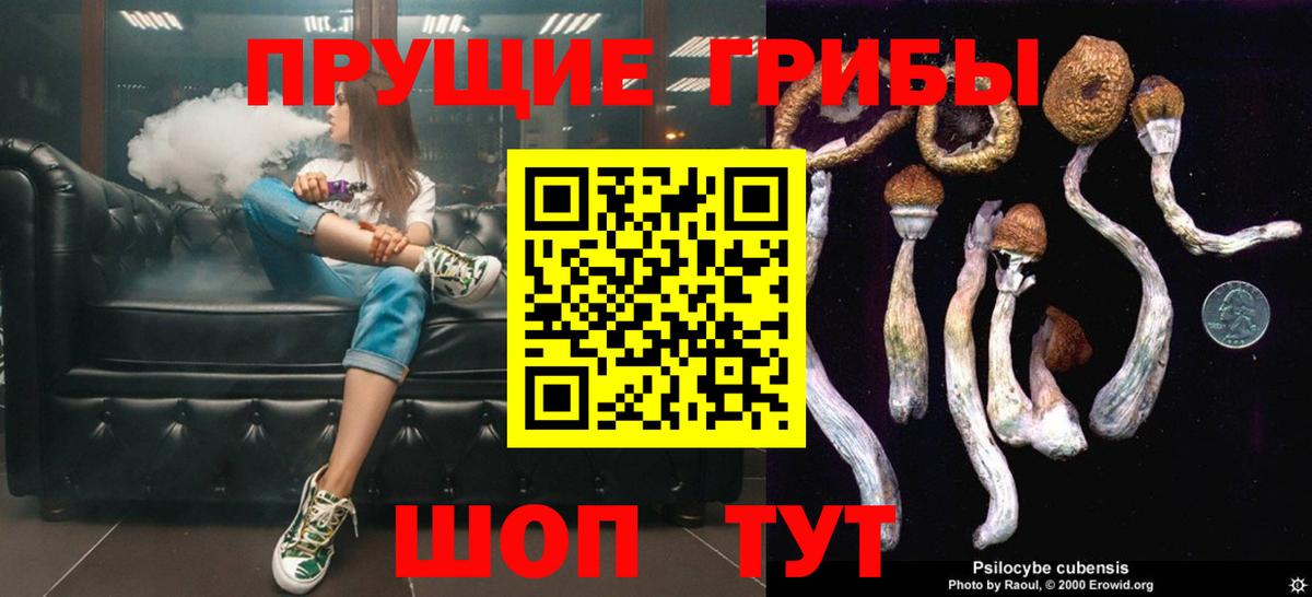 купить закладку  Псилоцибиновые грибы Psilocybe  Вход с VPN  Псилоцибиновые грибы мицелий  Пенза 